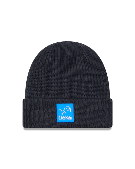 NFL Knit Hat Beanie Sideline 2025 Storm Gray Color Wave Lions