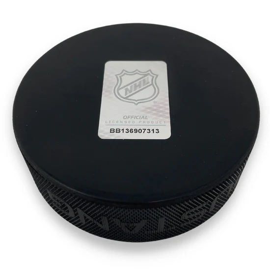 NHL Textured Puck Logos All 32 Teams