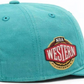 NBA Hat Worn Hitch Grizzlies