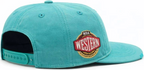 NBA Hat Worn Hitch Grizzlies