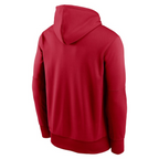 NFL Hoodie Pull Over Therma Icon Performance 2024 Buccaneers