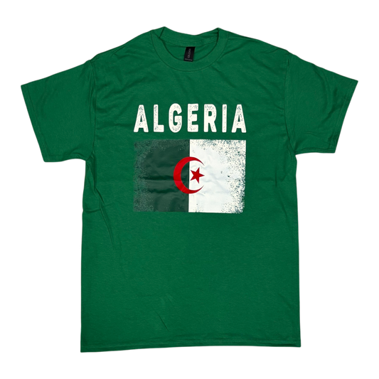 Country T-Shirt Distressed Flag Algeria