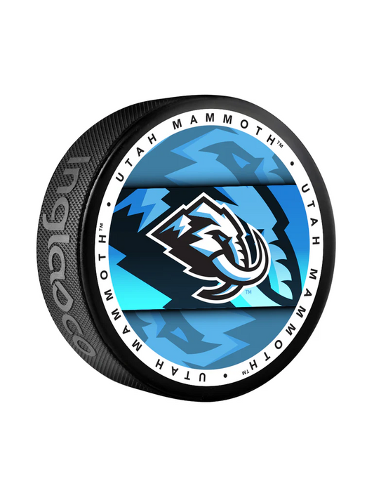 NHL Puck Souvenir Collector Medallion Mammoth