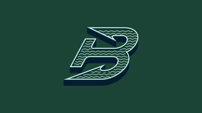 PWHL Flag 3x5 Boston Fleet