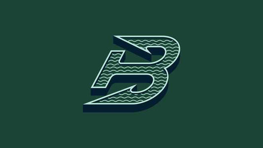 PWHL Flag 3x5 Boston Fleet