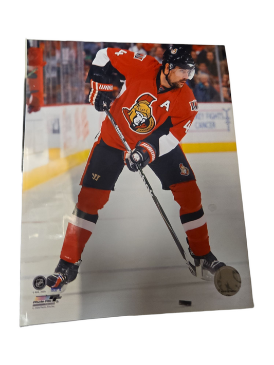 NHL 8x10 Player Photograph Home Chris Phillips Senators
