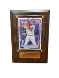 MLB Collectible Plaque with Card 4x6 Clean Pants Vladimir Guerrero Jr. Blue Jays