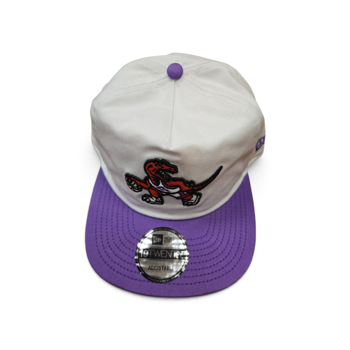 NBA Hat 1920 Golfer Snapback Dino Raptors