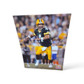 NFL 8x10 Brett Favre Packers Vintage Player Photograph Turf