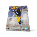 NFL 8x10 Brett Favre Packers Vintage Player Photograph Snow