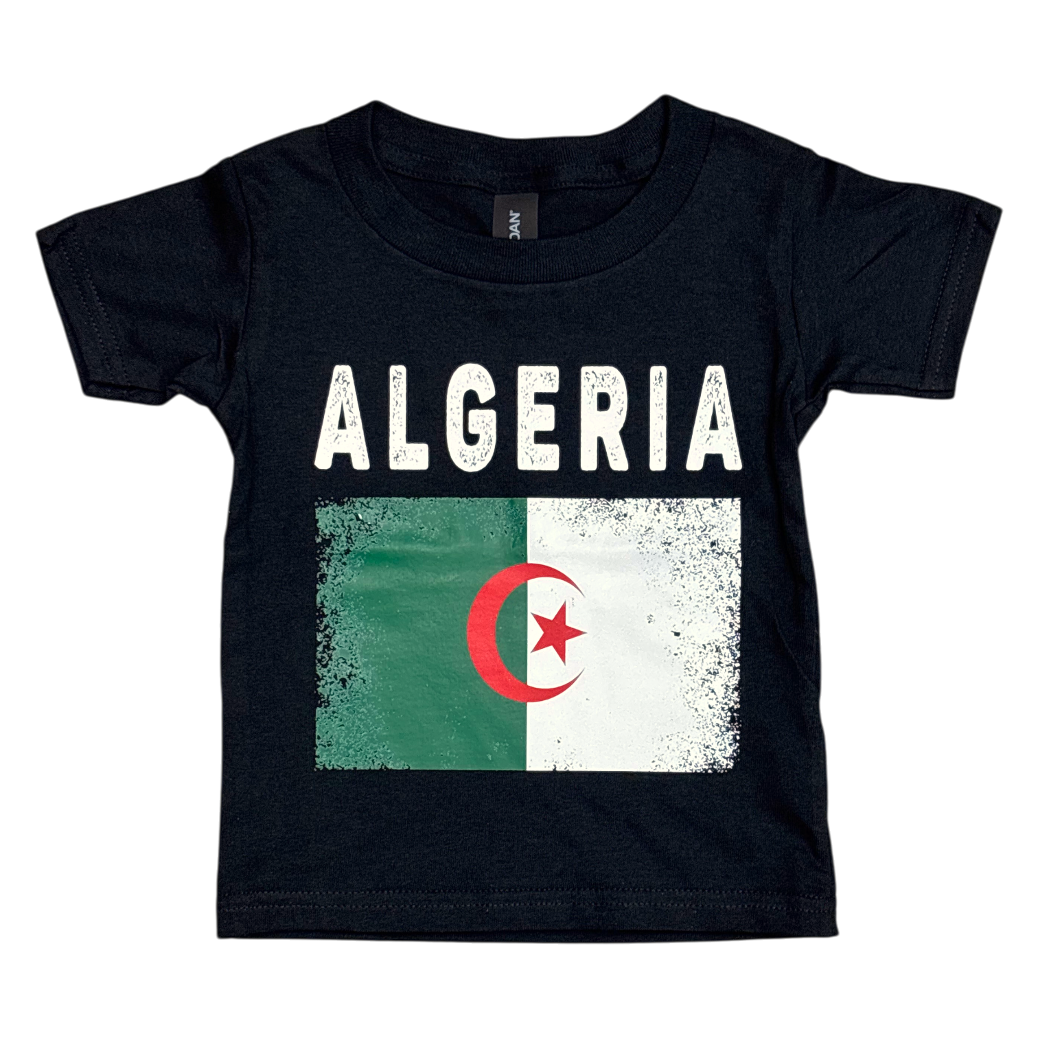 Country T-Shirt Distressed Flag Algeria (Black))