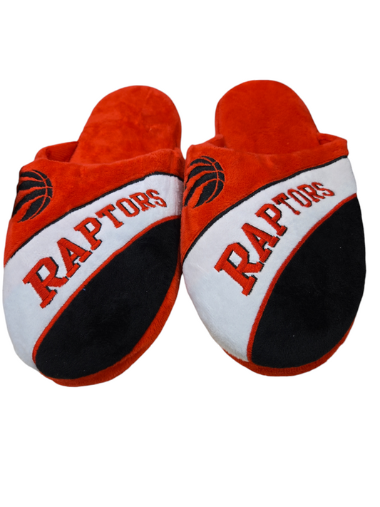 NBA Slippers Curve Raptors