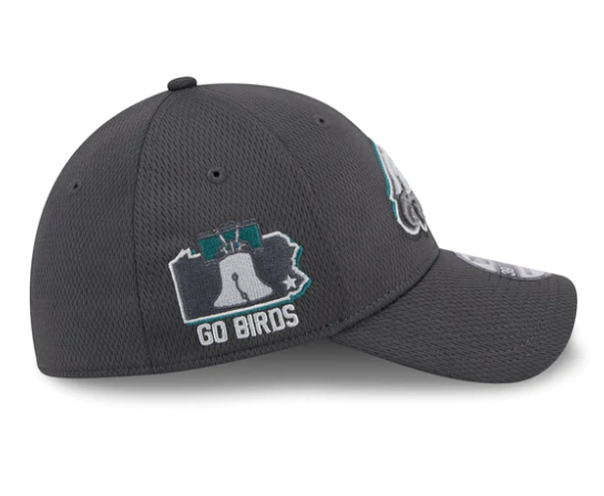 NFL Hat 3930 Draft 2024 Grey Eagles