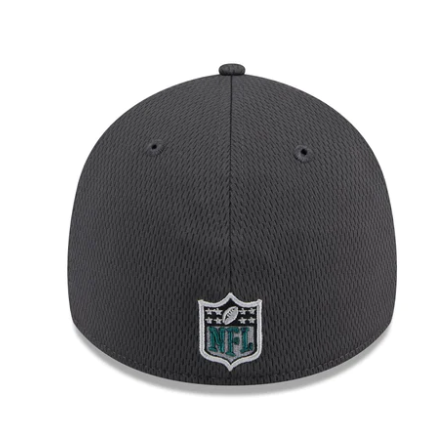 NFL Hat 3930 Draft 2024 Grey Eagles