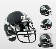 CFL Mini Helmet Canadian Football League