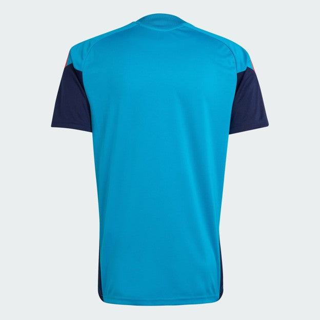 Royal Spanish Football Federation 26 Tiro Training Jersey Spain