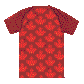 FIFA World Cup 2026 Kids/Youth Sublimated Jersey Team Canada