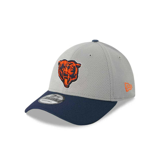 NFL Hat 940 Perf Gray Team Bears