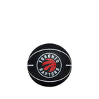 NBA Dribbler Super Mini Ball Raptors