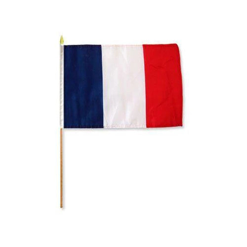 Country Stick Flag 12x18 France