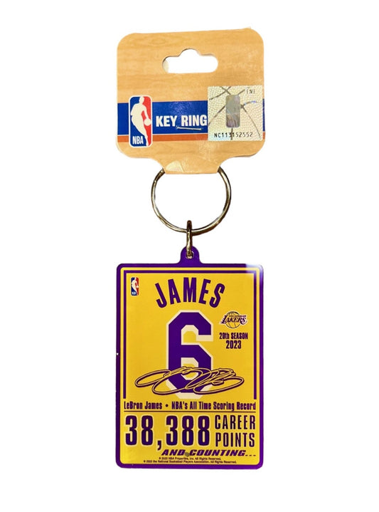 NBA Player Keychain Acrylic All-Time Scoring Record Lebron James Lakers