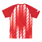 FIFA World Cup 2026 Youth Sublimated Jersey Canada National Soccer Team