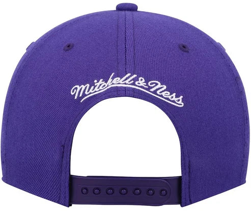 NBA Youth Hat Snapback Dino Team Ground 2.0 Raptors