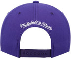 NBA Youth Hat Snapback Dino Team Ground 2.0 Raptors