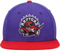 NBA Youth Hat Snapback Dino Two Tone Raptors
