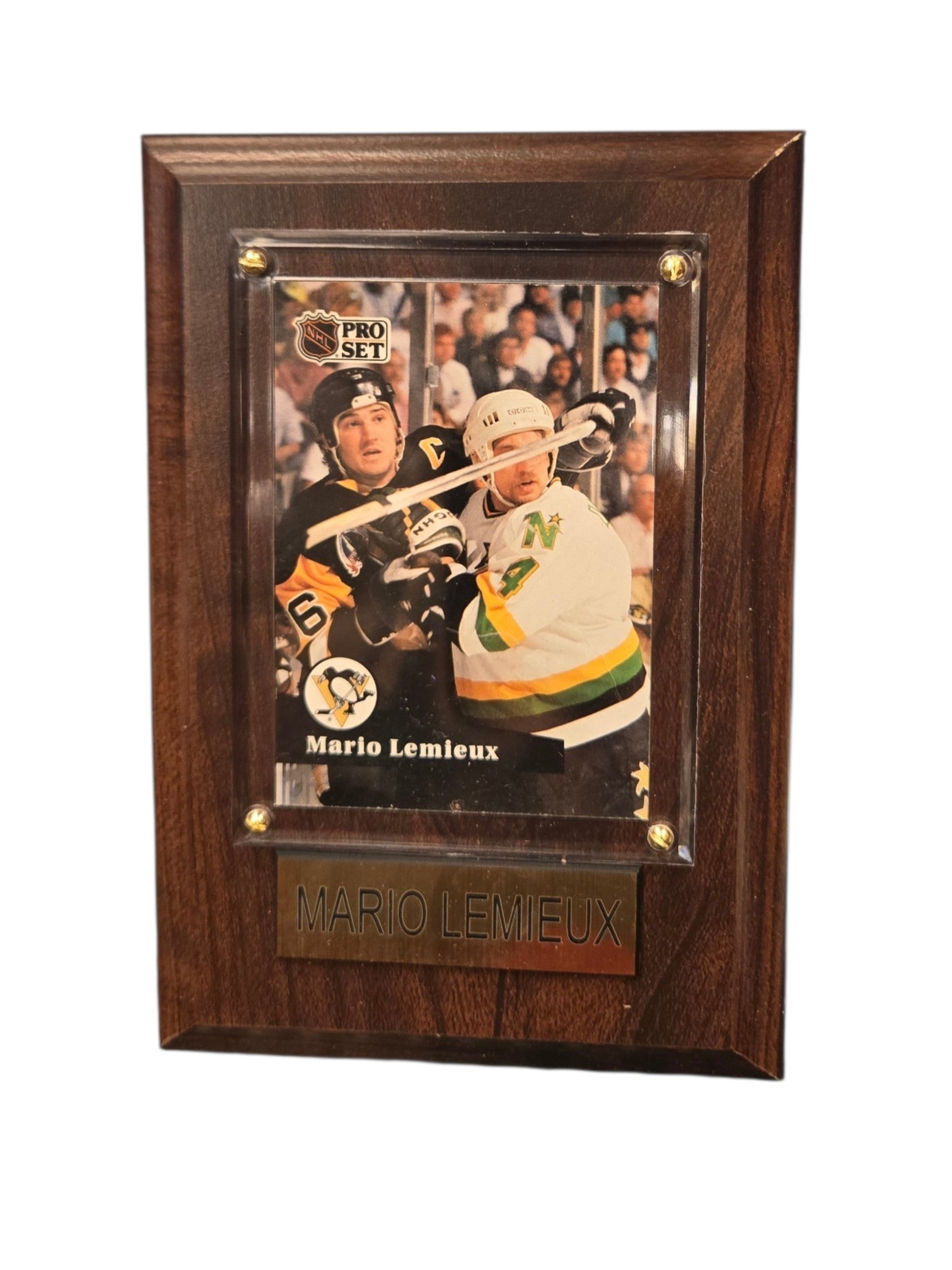 NHL Collectible Plaque with Card 4x6 Pro Set North Stars Mario Lemieux Penguins