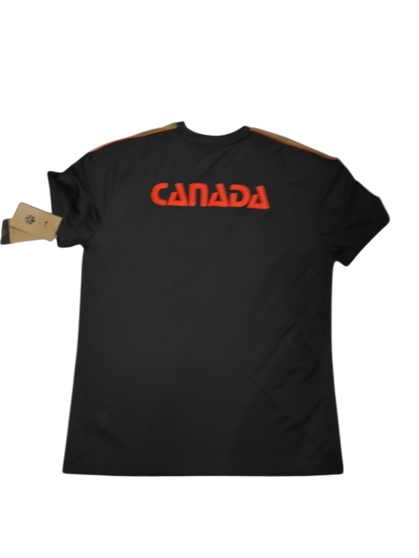 Canadian Soccer Association FIFA World Cup 2026 Strike Top Team Canada