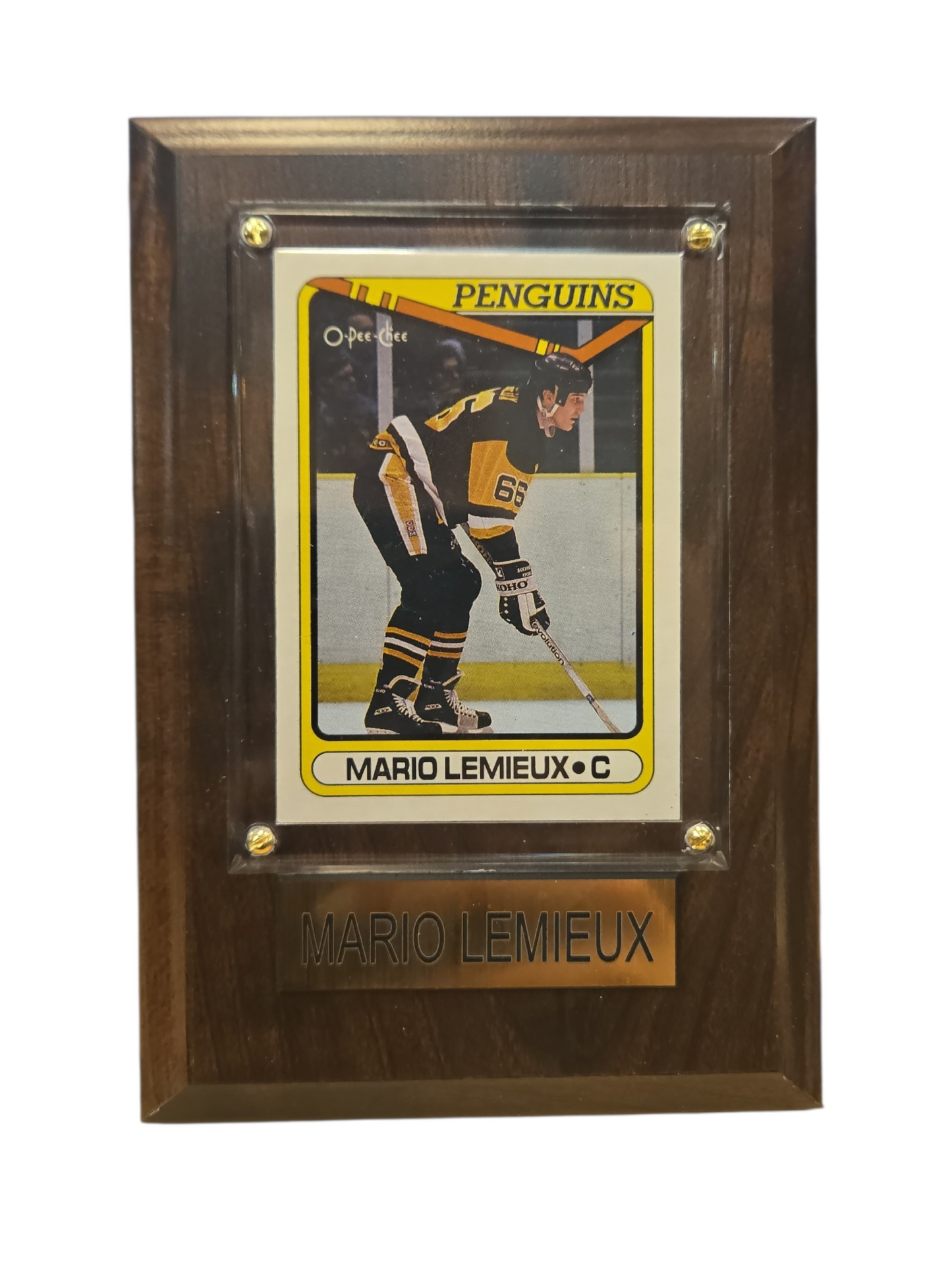 NHL Collectible Plaque with Card 4x6 Yellow Card Stick Mario Lemieux Penguins