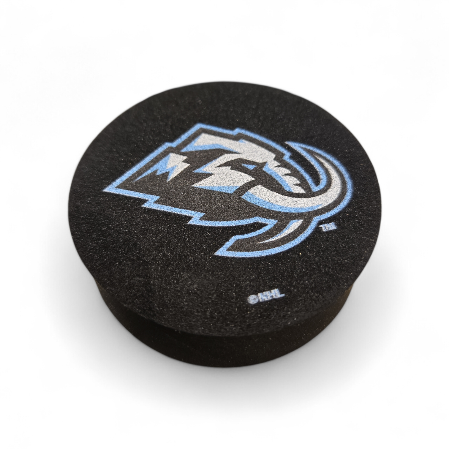 NHL Foam Puck Mammoth
