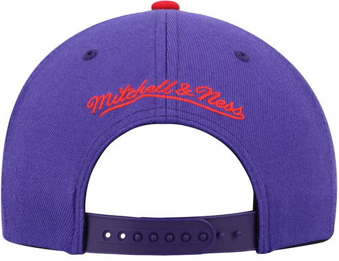 NBA Youth Hat Snapback Dino Two Tone Raptors
