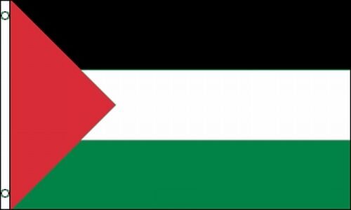 Country Flag 2x3 Palestine