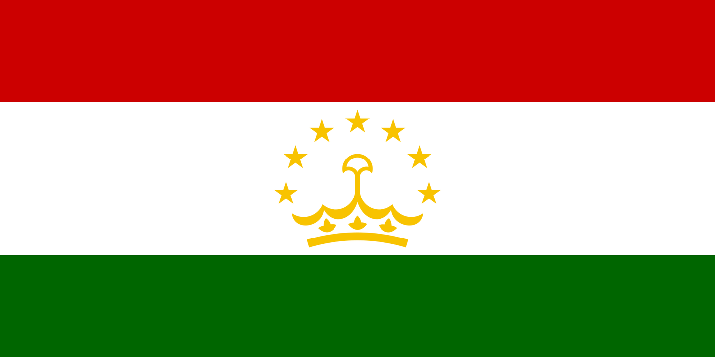 Country Flag 3x5 Tajikistan