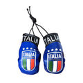 Country Boxing Gloves Set Italy (Blue w/Club)