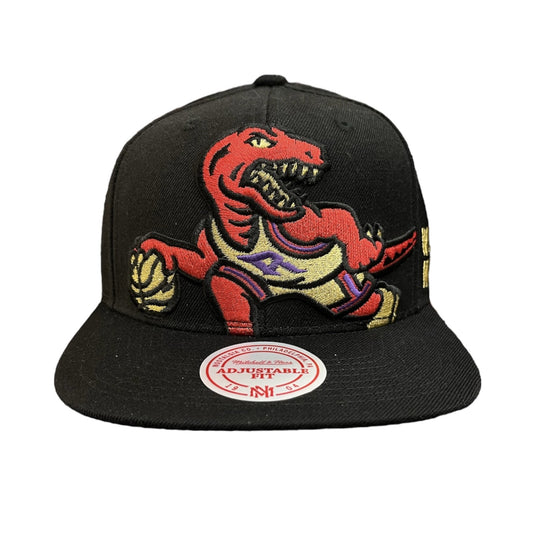 NBA Hat Crop XL Heritage Snapback Raptors