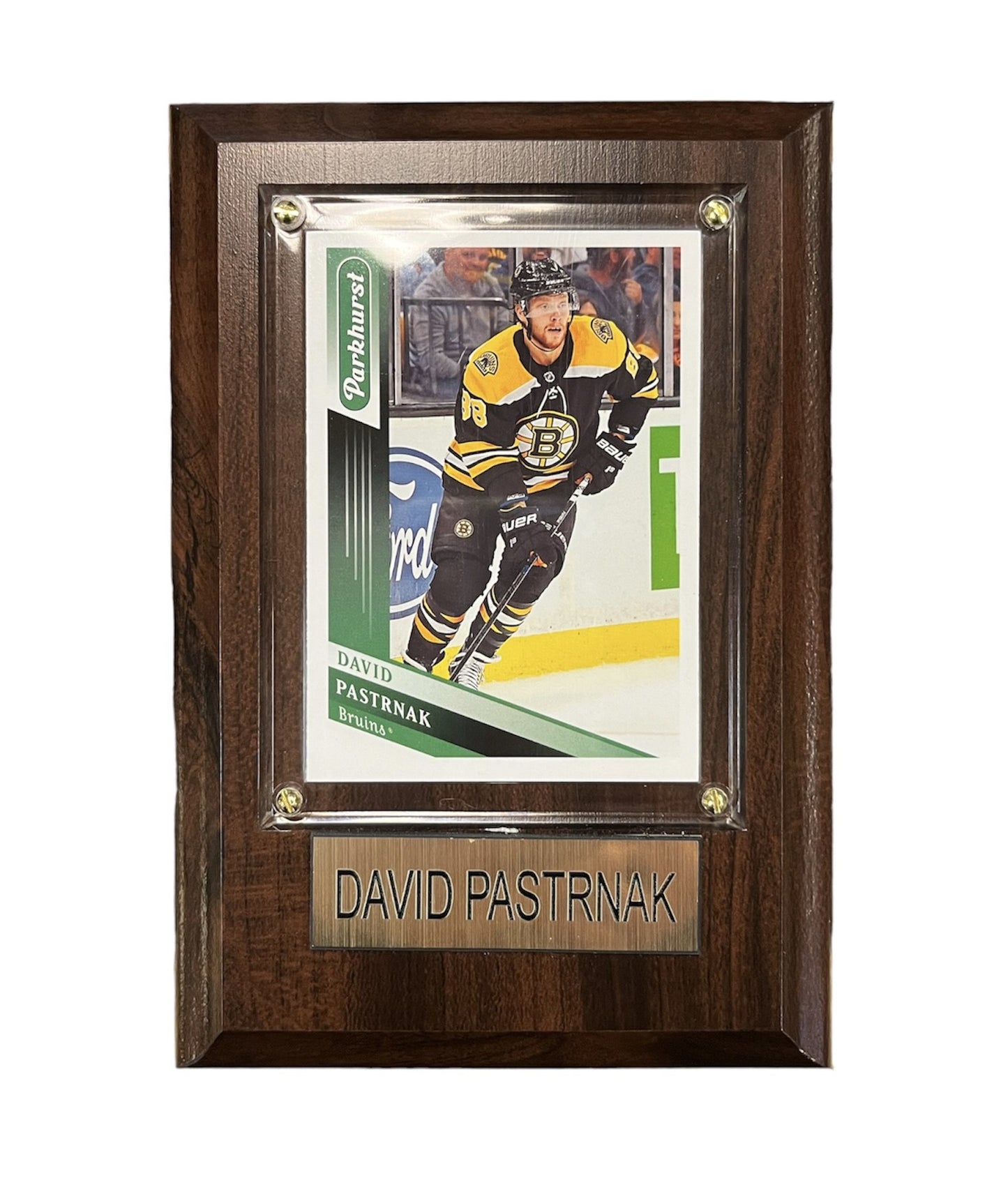 NHL Collectible Plaque with Card 4x6 Parkhurst David Pastrnak Bruins