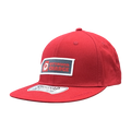 PWHL Hat Snapback Charge