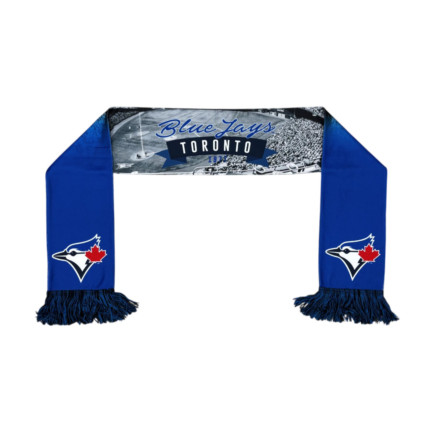 MLB Scarf Stadium Print Blue Jays