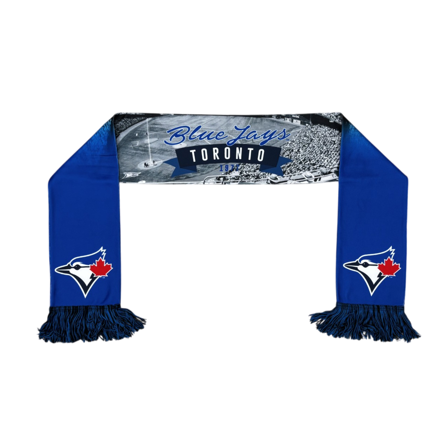 MLB Scarf Stadium Print Blue Jays