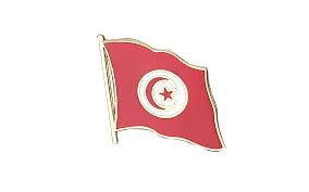 Country Lapel Pin Tunisia