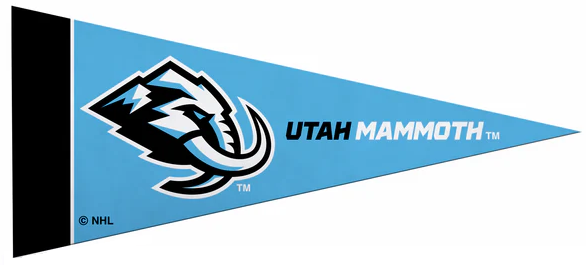 NHL Mini Pennant Mammoth
