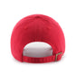 NHL Hat Blue Line Red Wings