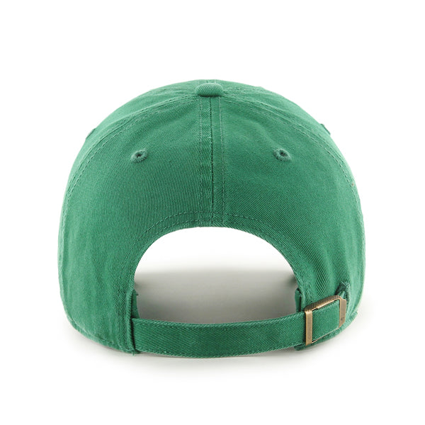 NCAA Hat Clean Up Basic Notre Dame Fighting Irish