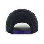 NBA Hat '47 Hitch Pinstripe Heritage Logo Raptors