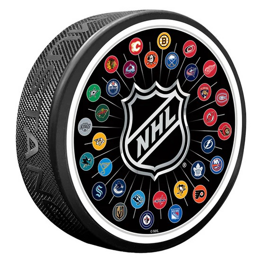 NHL Textured Puck Logos All 32 Teams