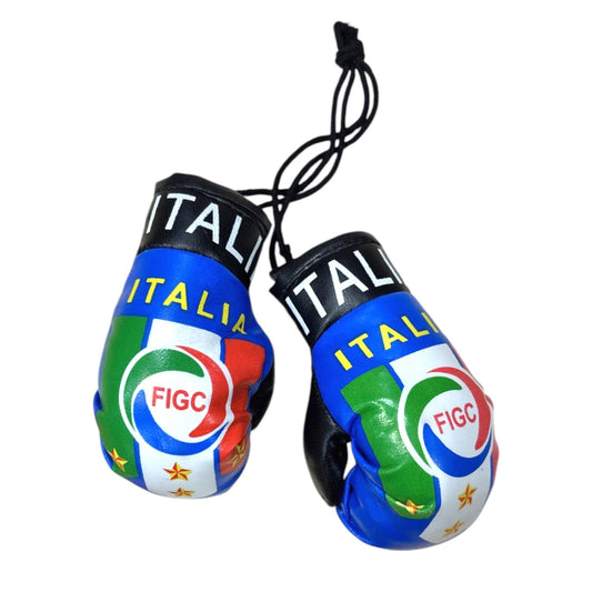 Country Boxing Gloves Set Italy (FIGC)
