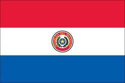 Country Flag 3x5 Paraguay